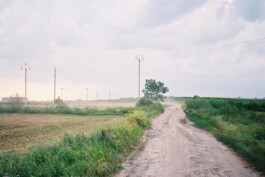 Beate Zeller